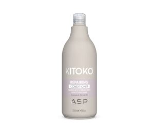 DL_ASP_Kitoko_Repairing-Conditioner