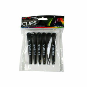 DL_PRISMA-Sectioning-Clips-1