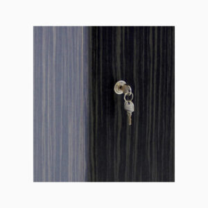 DL_REM-Cupboard-Door-Lock