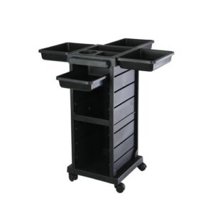 DL_T100Y-Duke-Trolley-01
