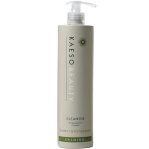 DL_kaeso-calming-cleanser-495ml-p5300-20321_image