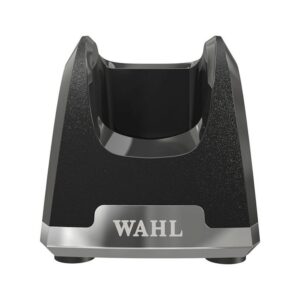 DL_wahlchargestand