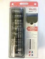 DL_wahlguides